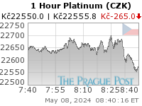 Platinum (CZK) 1 Hour