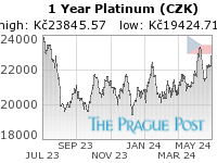 Platinum (CZK) 1 Year